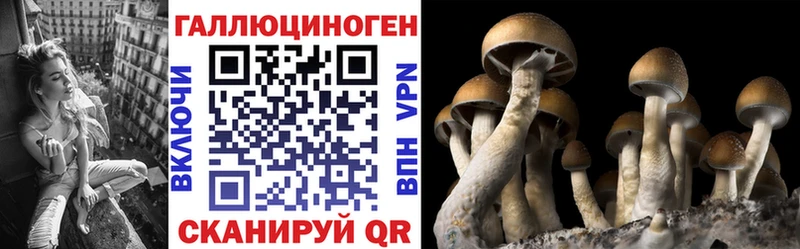 Псилоцибиновые грибы Psilocybe Белый