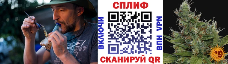 Каннабис планчик  Белый 
